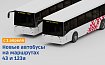 Новые автобусы на маршрутах 43 и 123а